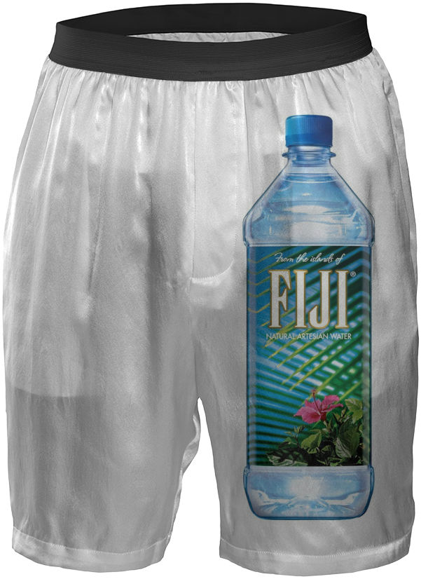 Fiji Shots $78 - Fiji Natural Artesian Water - 12 Pack, 1 L Bottles (608x846), Png Download