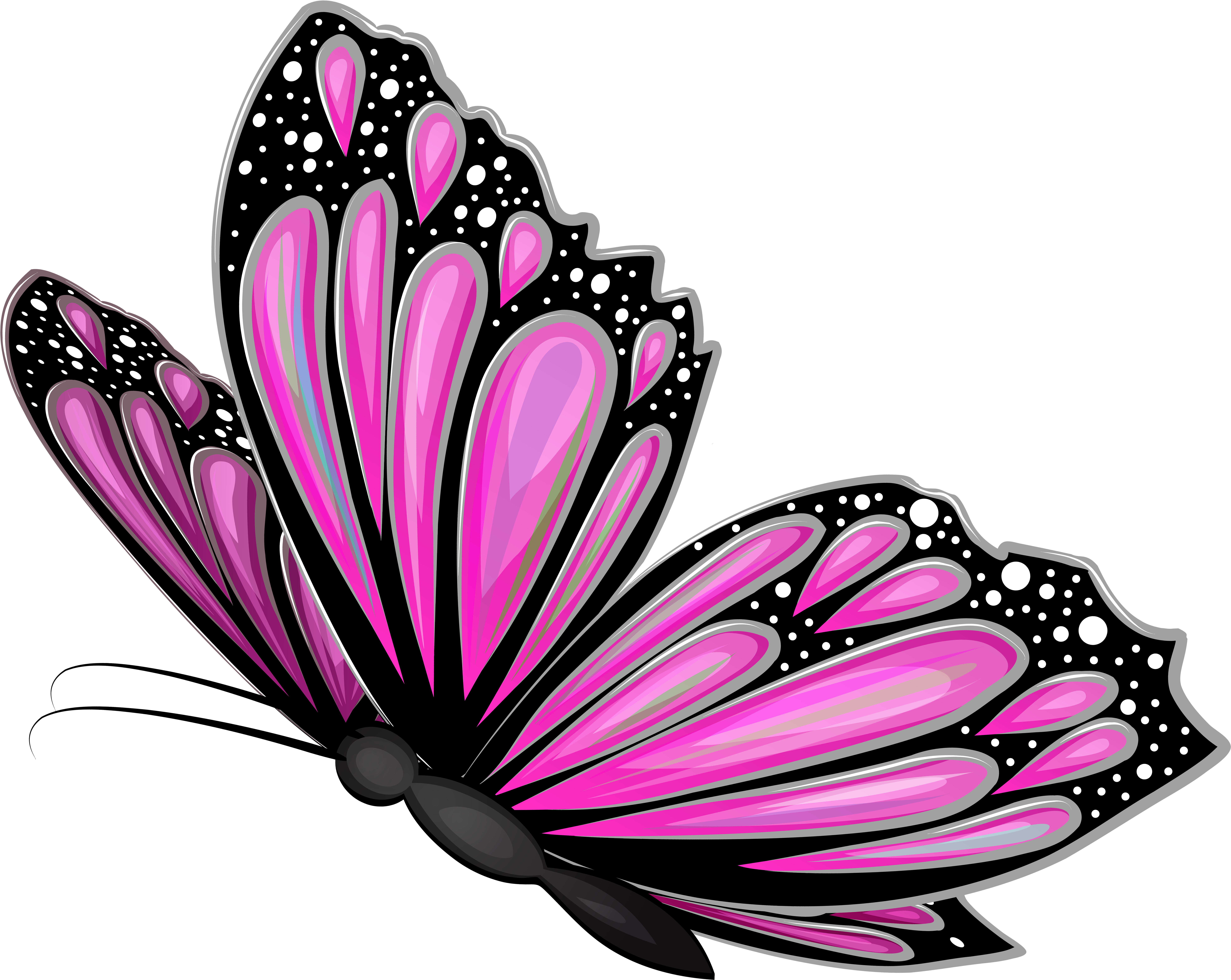 View Full Size (8000x6390), Png Download