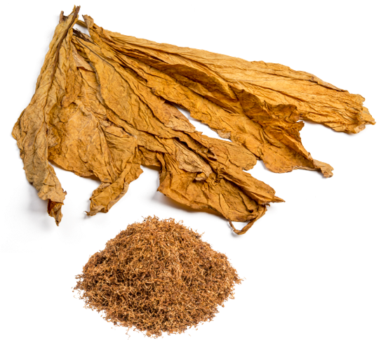 Tobacco Png (620x503), Png Download