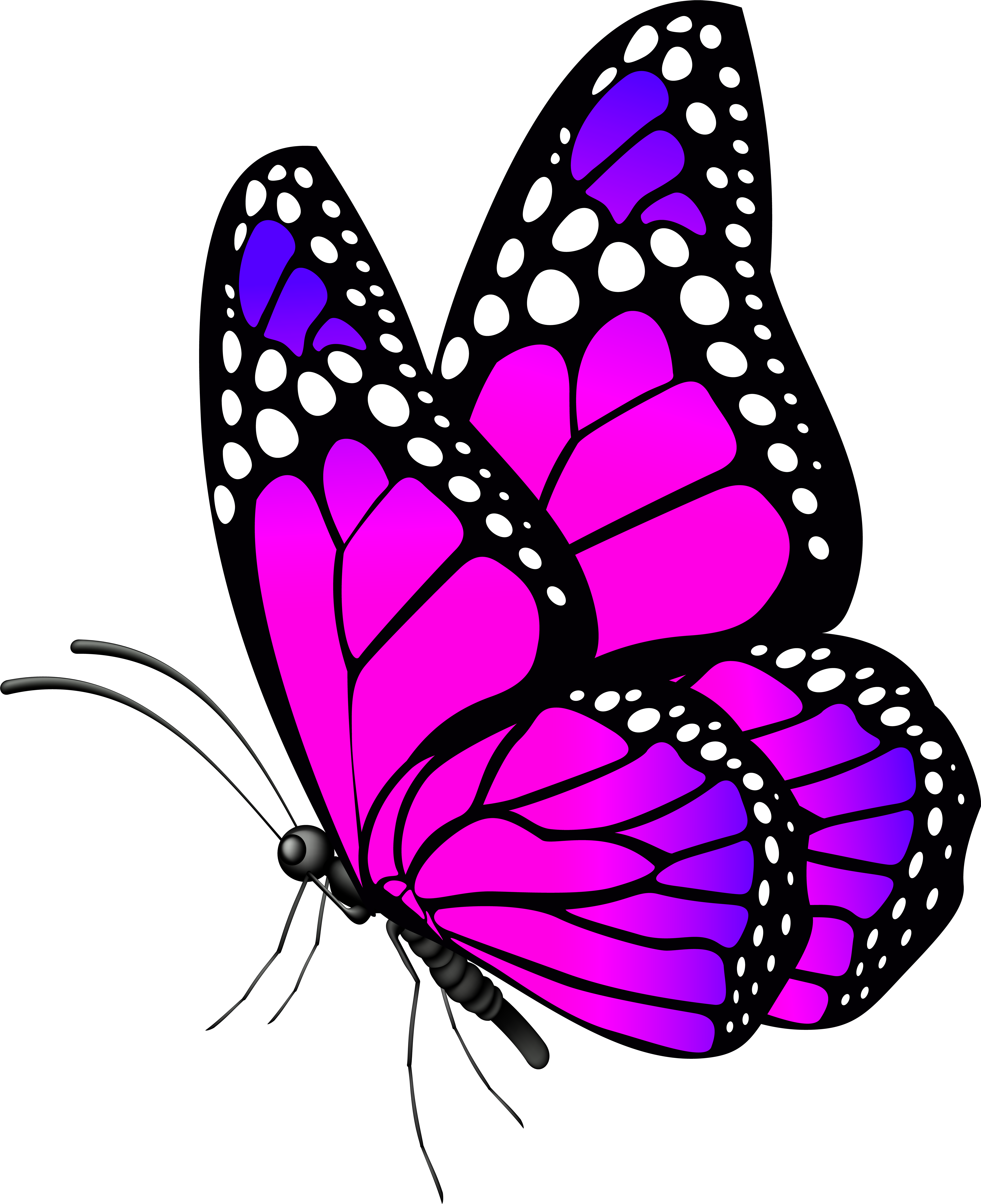 Butterfly Clip Art Image (6521x8000), Png Download