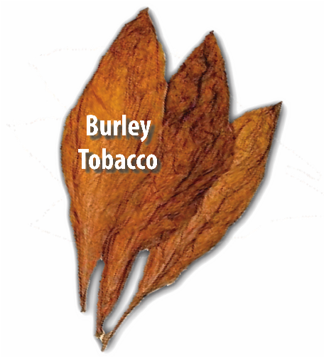 Oriental Tobacco Also Referred To As Turkish Tobacco - Post Oak (500x500), Png Download