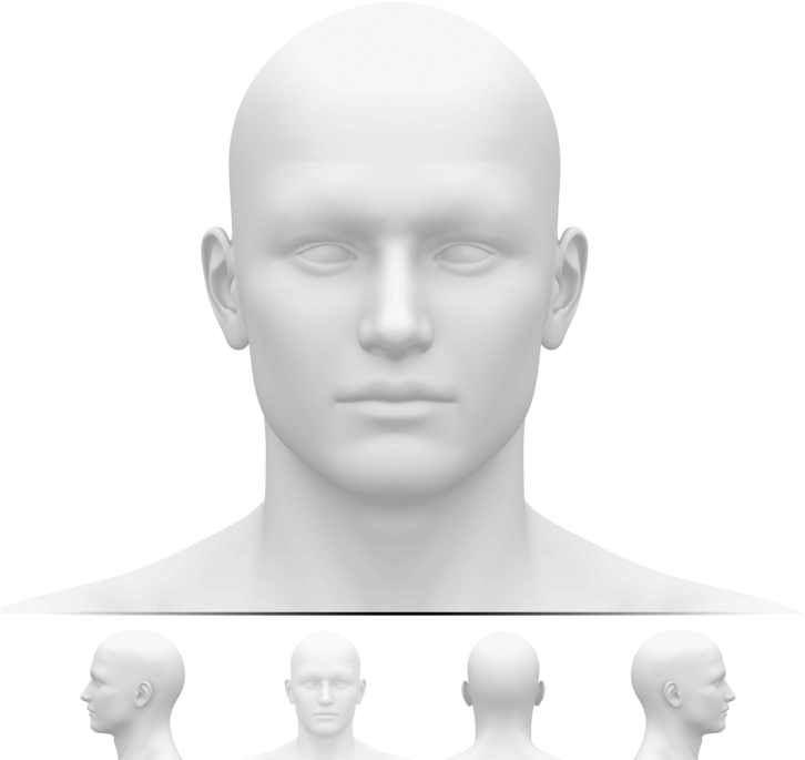 Head Front - Blank White Male Head (728x699), Png Download