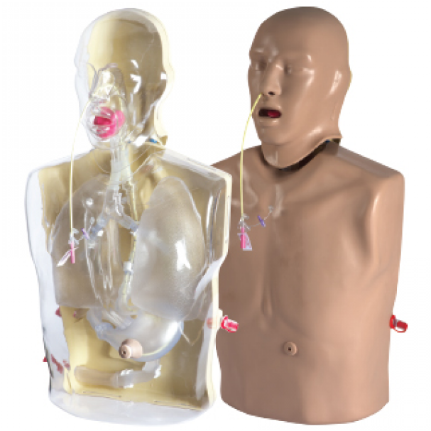 Adam,rouilly Corman-adult Nasogastric/nasjojunal Feeding - Adult (850x1131), Png Download
