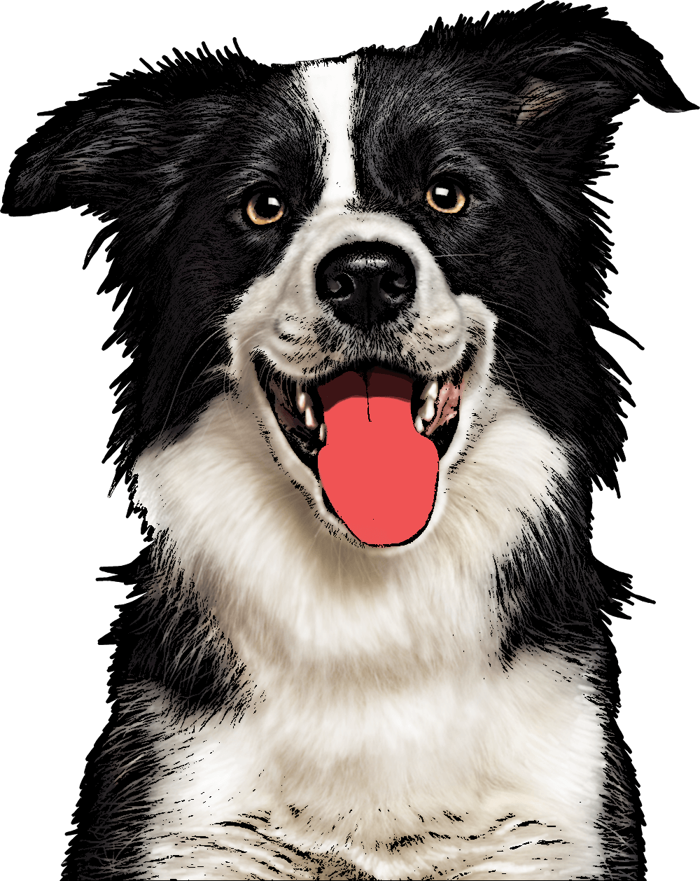 Custom Pet Pop Art - Dog Art Png (1000x1258), Png Download
