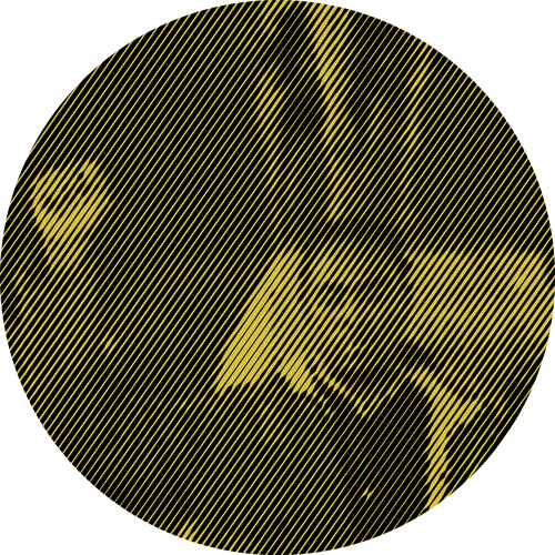 Belgium - Genealogy (500x500), Png Download