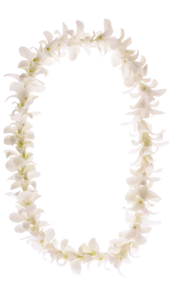 White - Pearl (375x563), Png Download