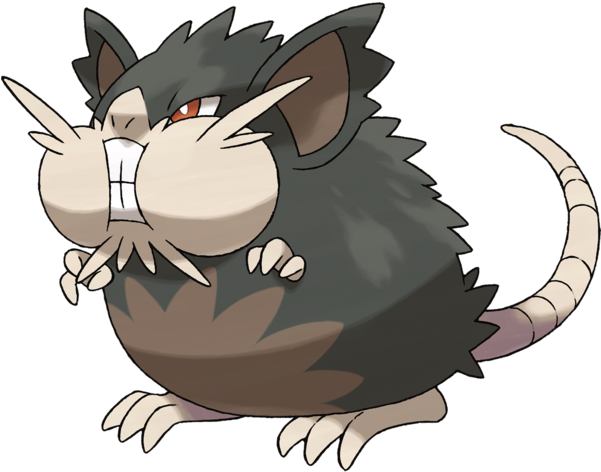 Alolan Rattata/raticate Named After The Titular Character - Raticate Alola (500x500), Png Download
