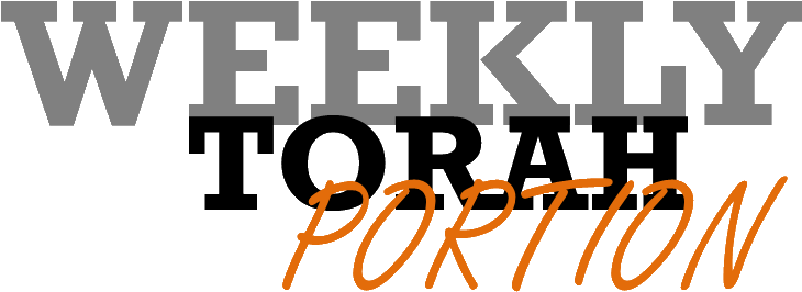 Weekly Torah Portion - Cafepress Wine O Clock Tufted Chair Cushion (750x300), Png Download