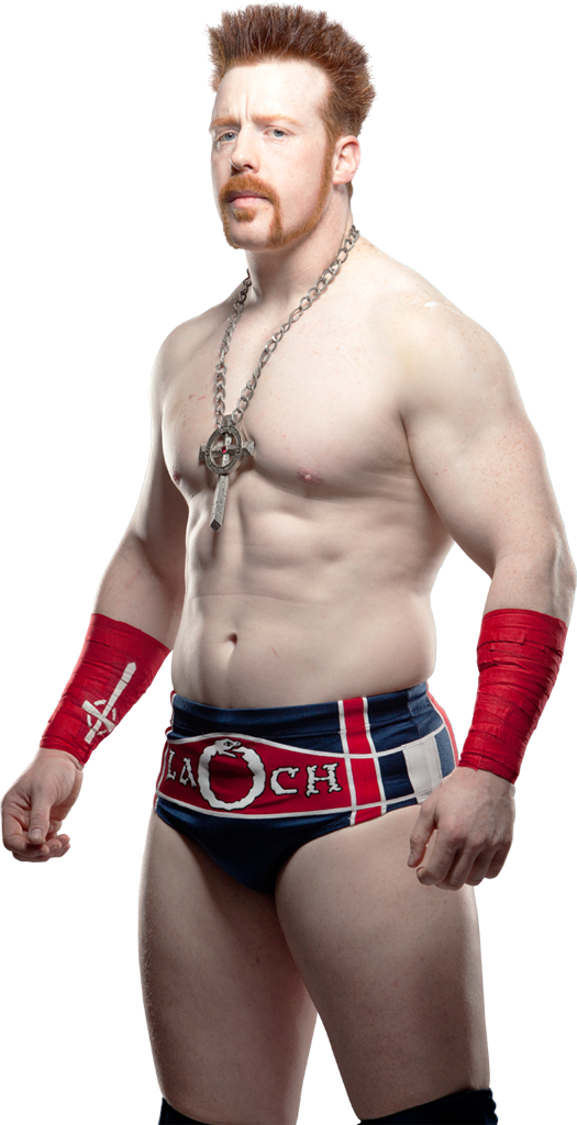 Sheamus Png Image - Wwe Sheamus 2012 (525x1024), Png Download