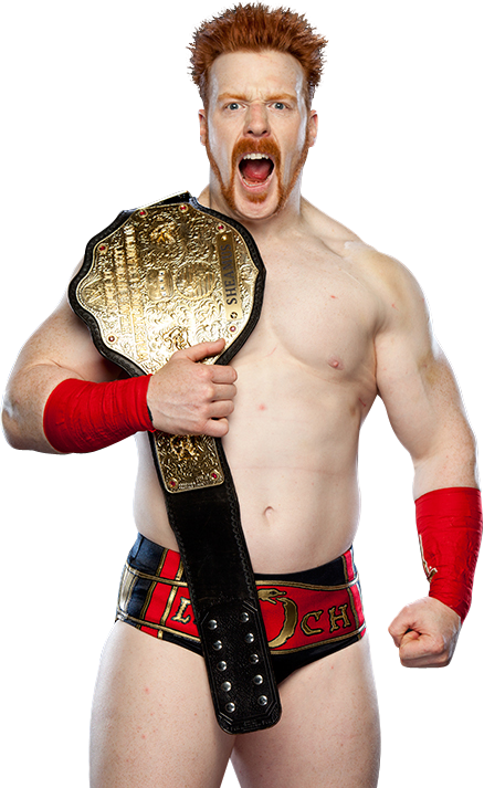 Sheamus Png Transparent - Sheamus World Heavyweight Championship 2015 (438x713), Png Download