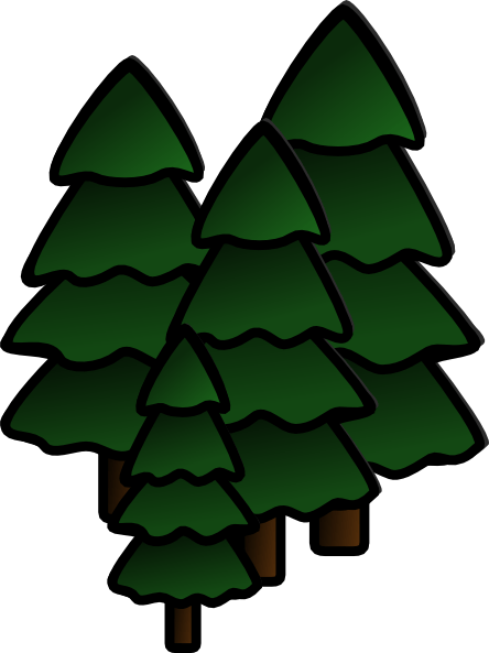 Redwood Forest Clipart - California Redwood Tree Clipart (444x593), Png Download