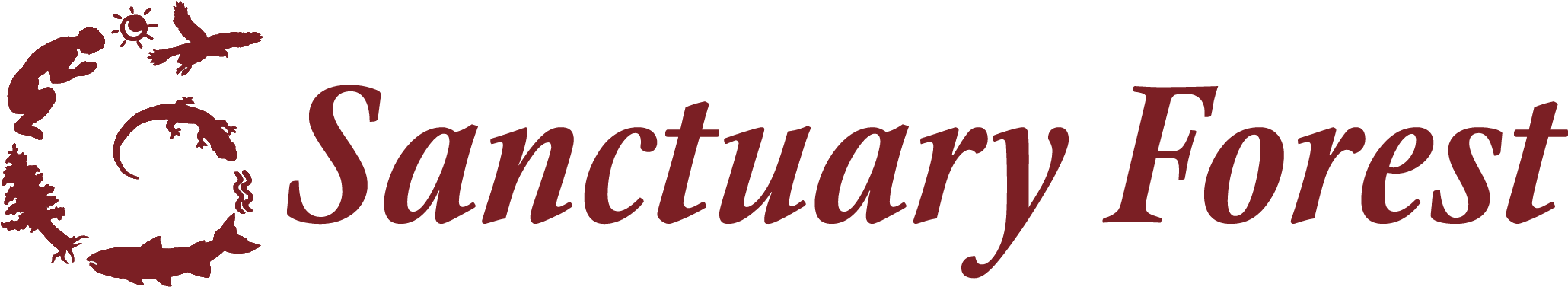 Calligraphy (2152x499), Png Download