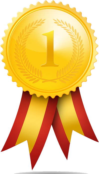 Gold Medal Png Images - Pilates Ball - Yoga Ball - Stability Ball - Exercise (450x723), Png Download