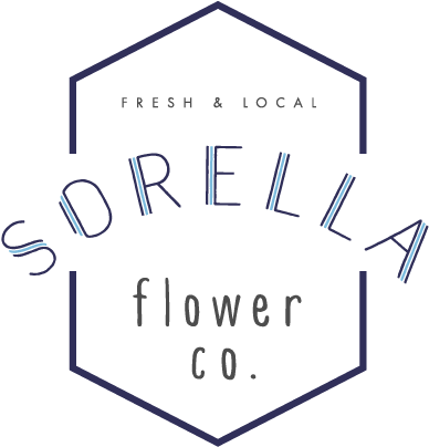 Flower Line Png (406x457), Png Download