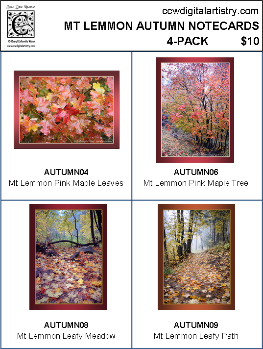 Nc Mt Lemmon Autumn 4-pk - Mount Lemmon (537x712), Png Download