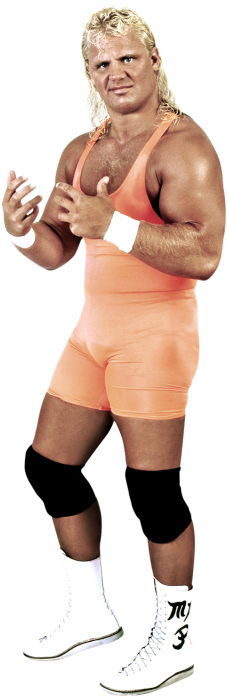 Perfect - Wwe Mr Perfect (320x728), Png Download