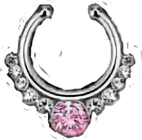 Piercings Piercing Septum Septumpiercing Septumpiercing - Crystal Rhinestone Stainless Steel Nose Ring Body Piercing (496x492), Png Download