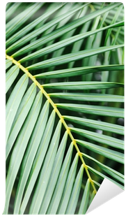 Light Switch (400x400), Png Download