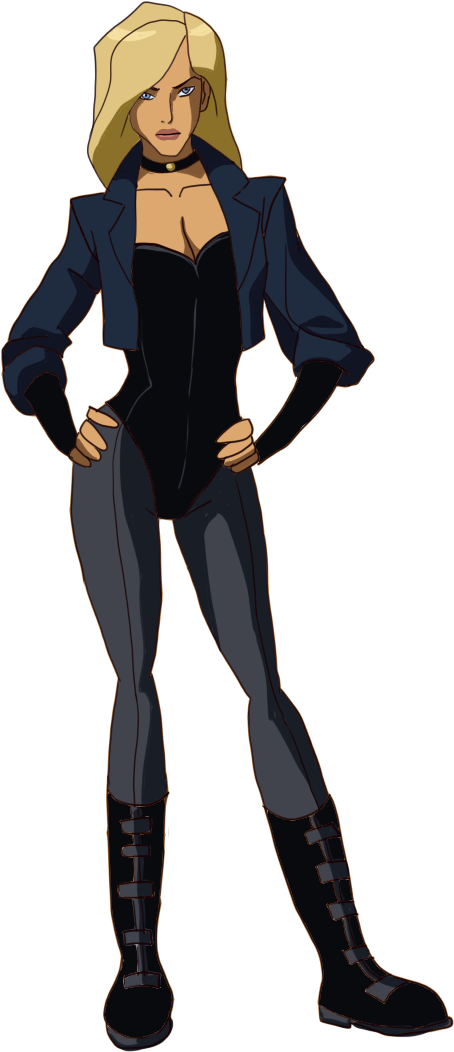 Black Canary And Superboy Young Justice - Black Canary Young Justice (640x1080), Png Download
