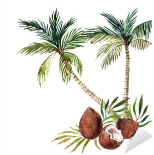 Palm Tree Isolated On White Background - Watercolor Palm Tree (400x400), Png Download