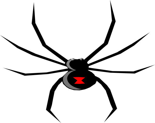 Black Widow Clipart Colorful - Black Widow Spider Logo (600x478), Png Download