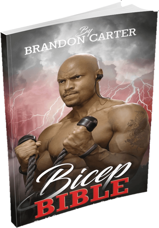 Bicep Bible - Book (611x872), Png Download