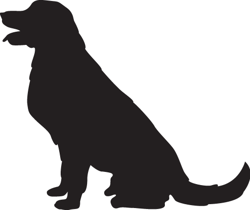 Dog Sitting Co - Had A Black Dog (511x430), Png Download
