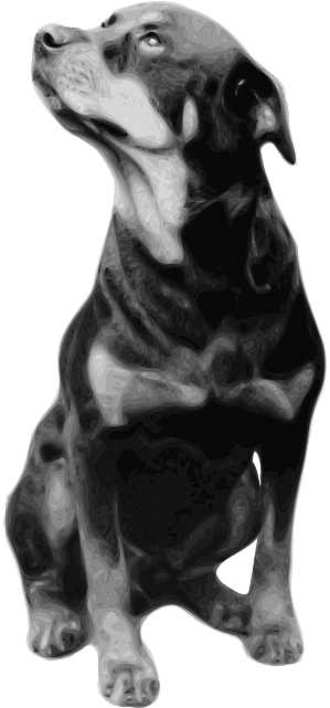 Dog, Sitting, Pet, Staring, Picture, Rottweiler, Breed - Life Is Better With A Rottweiler Shower Curtain (320x640), Png Download