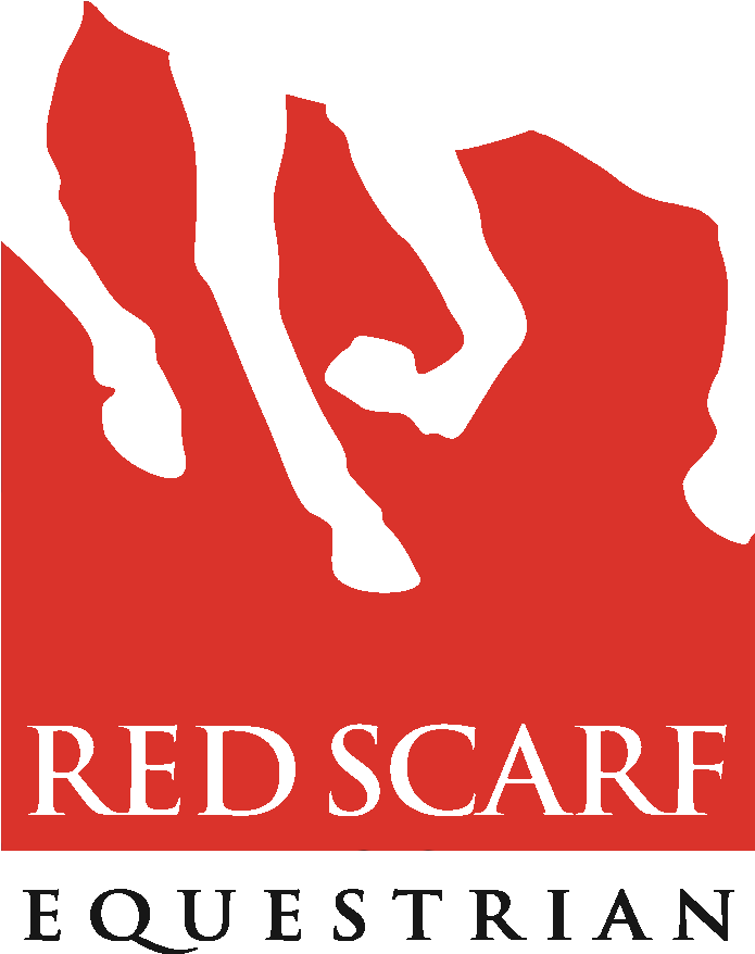 Red Scarf Equestrian - Therapy (698x965), Png Download