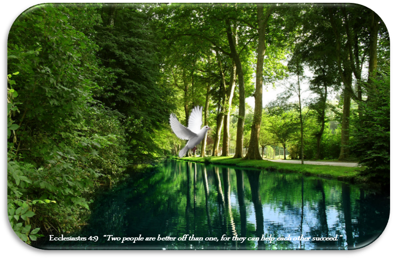 Friends-forever - Heaven (901x535), Png Download