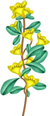 82 Fantasy Easter - Caesalpinia (241x500), Png Download