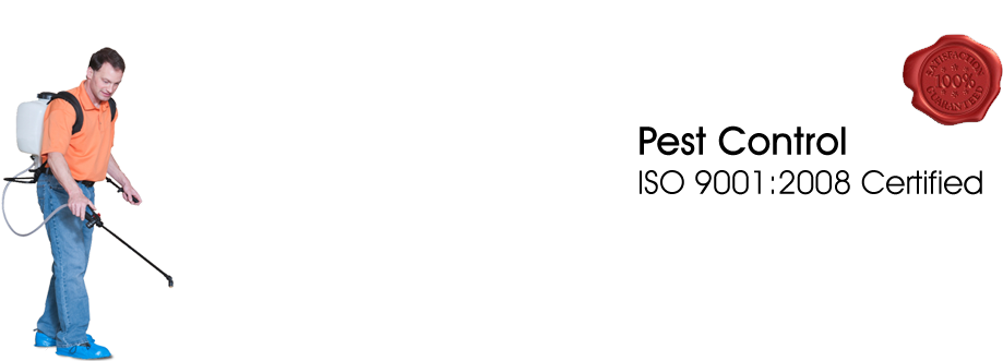 Golden Stars - Pest Control Services Png (965x330), Png Download