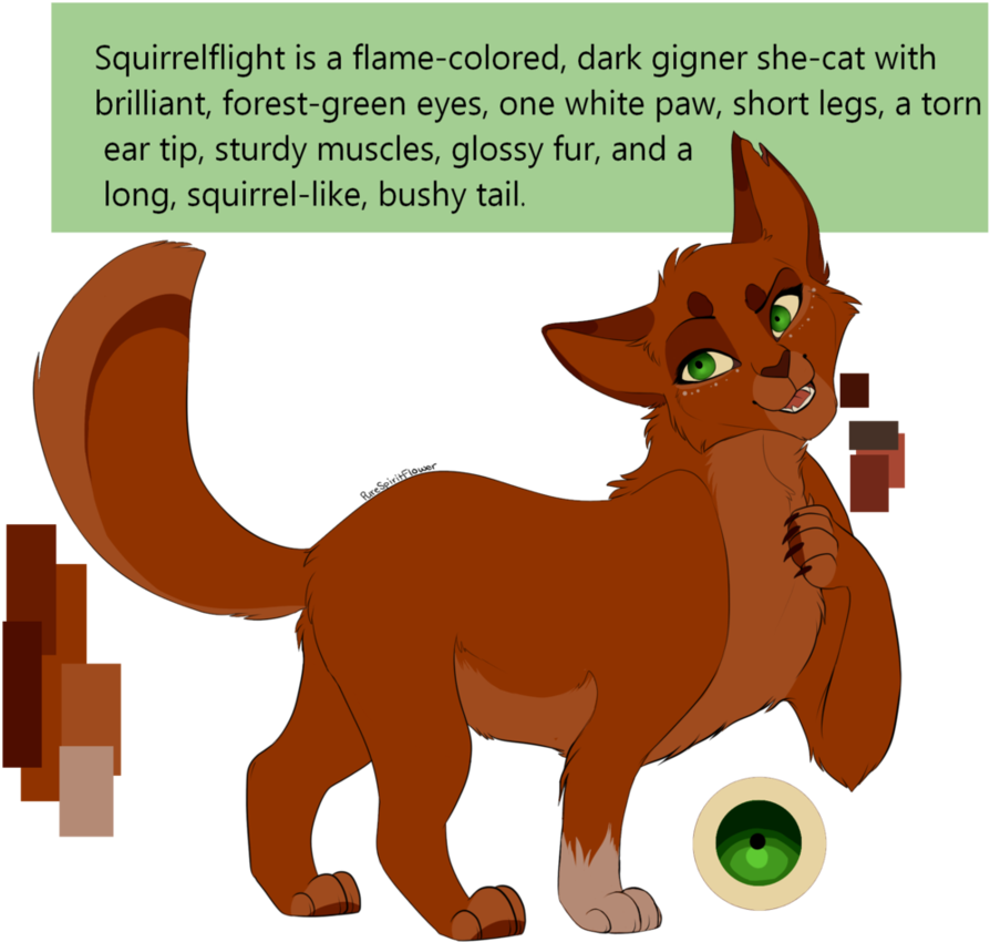 Squirrelflight By Purespiritflower Deviantart Com On - Purespiritflower Squirrelflight (918x870), Png Download
