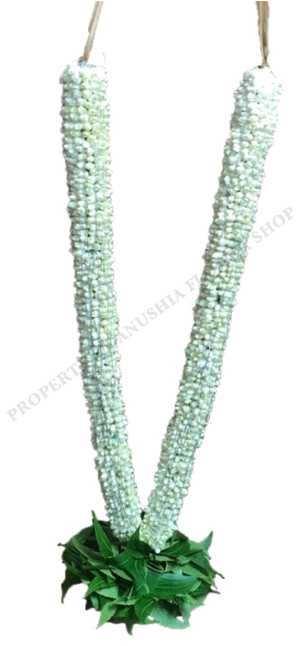 Jasmine Garland Png Hd - Garland (600x600), Png Download