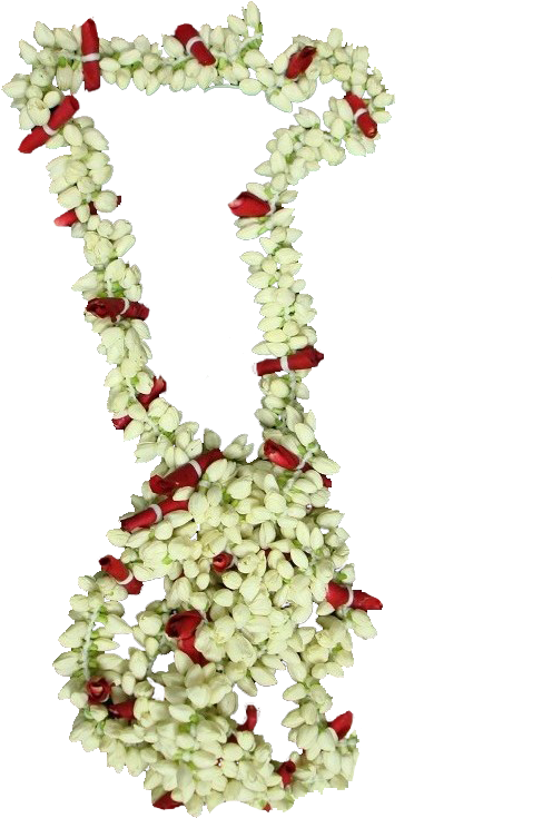 Jasmine Garland Png Clipart - Garland (681x908), Png Download