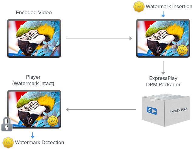 A Unique Watermark Is Applied To Each Video Stream - Cartoon (650x507), Png Download