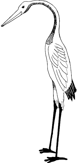 Bird, Crane, Stork - Stork Clipart White And Black (320x640), Png Download