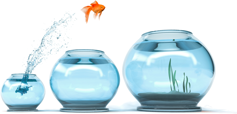 Cngc Cash Incentives For Energy Upgrades Are As Easy - Goldfish Jumping Into Bigger Bowls (924x475), Png Download