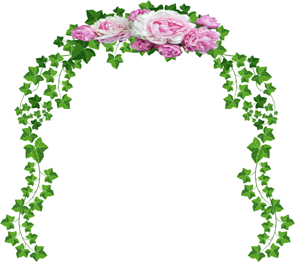 Vines With Transparent Background (1074x975), Png Download