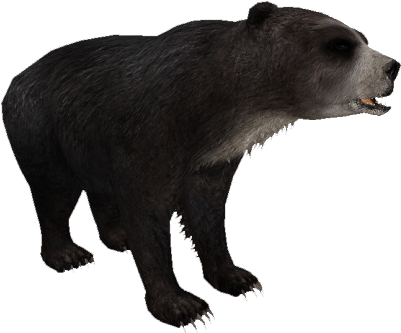 Florida Short-faced Bear - Zt2 Short Faced Bear (400x400), Png Download