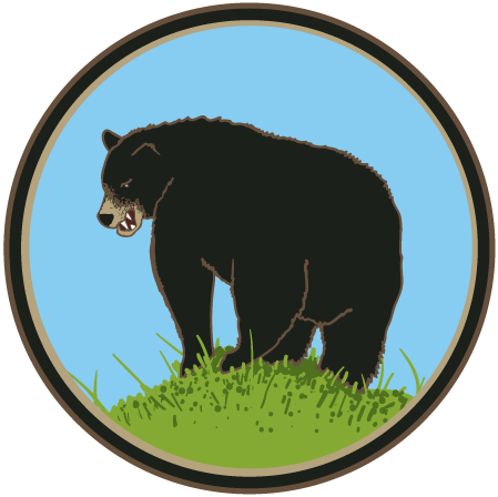 Black Bear's Butt - American Black Bear (449x448), Png Download