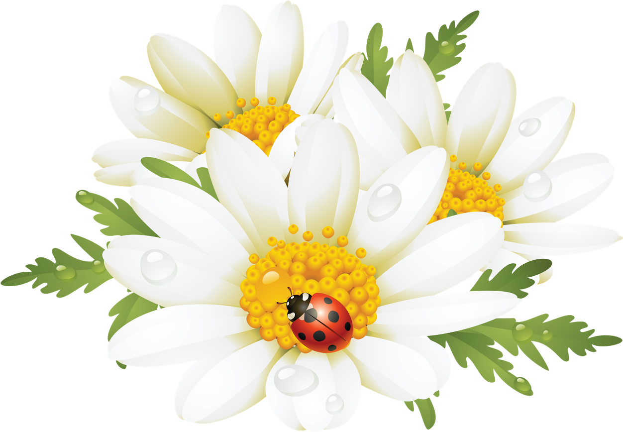 Flower Art, Flower Canvas, Flower Images, Flower Prints, - Ladybug Daisy Throw Blanket (1262x872), Png Download