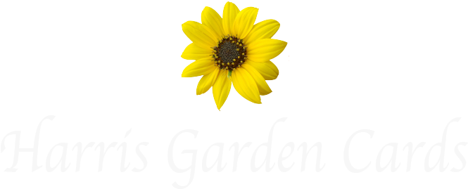 Harris Garden Cards - Sunflower (669x288), Png Download