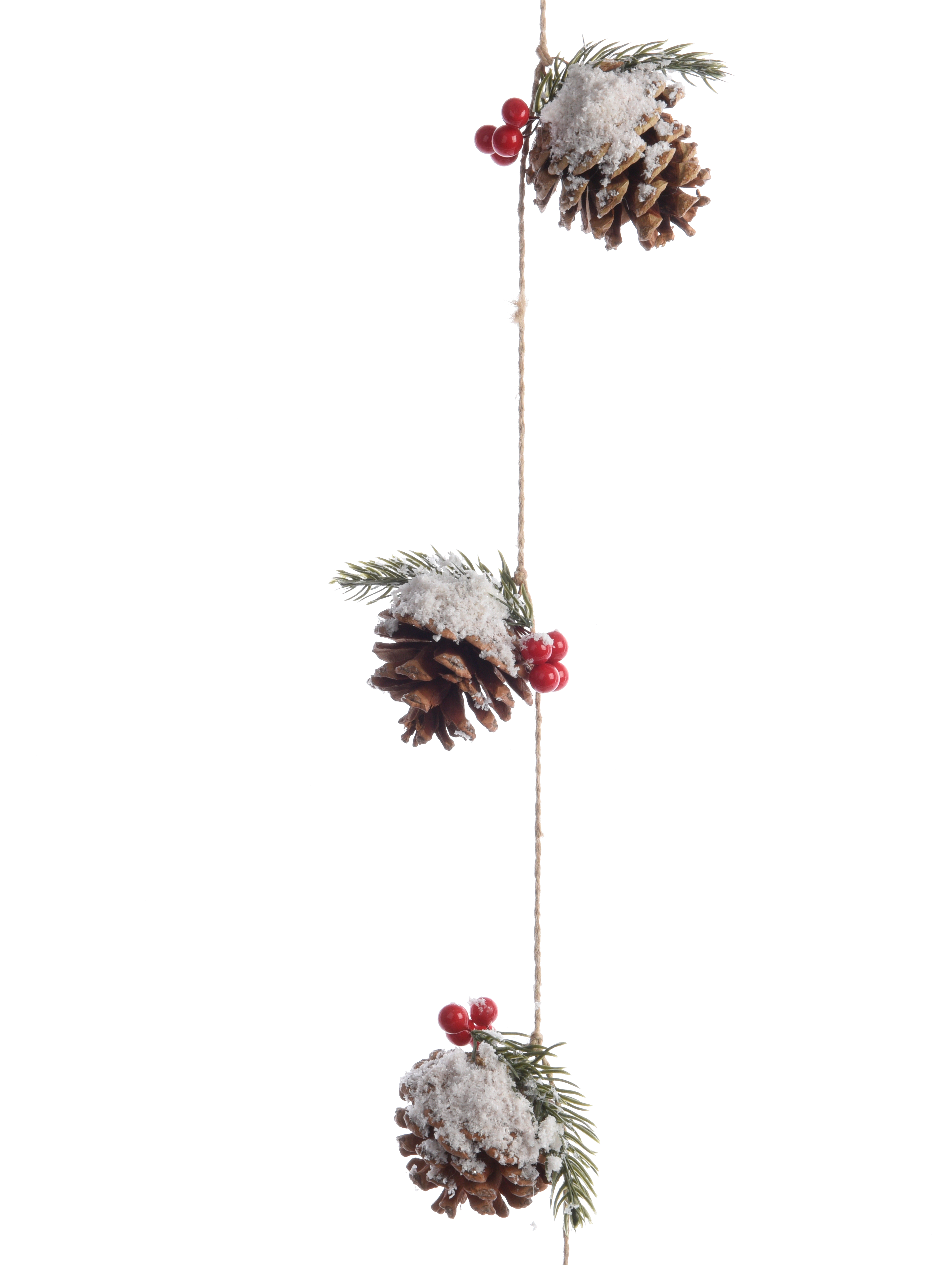 Pinecone Garland With Berries And Snow - Rothenburg Ob Der Tauber (4080x4080), Png Download