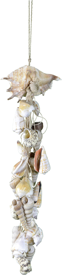 Beach (733x1100), Png Download