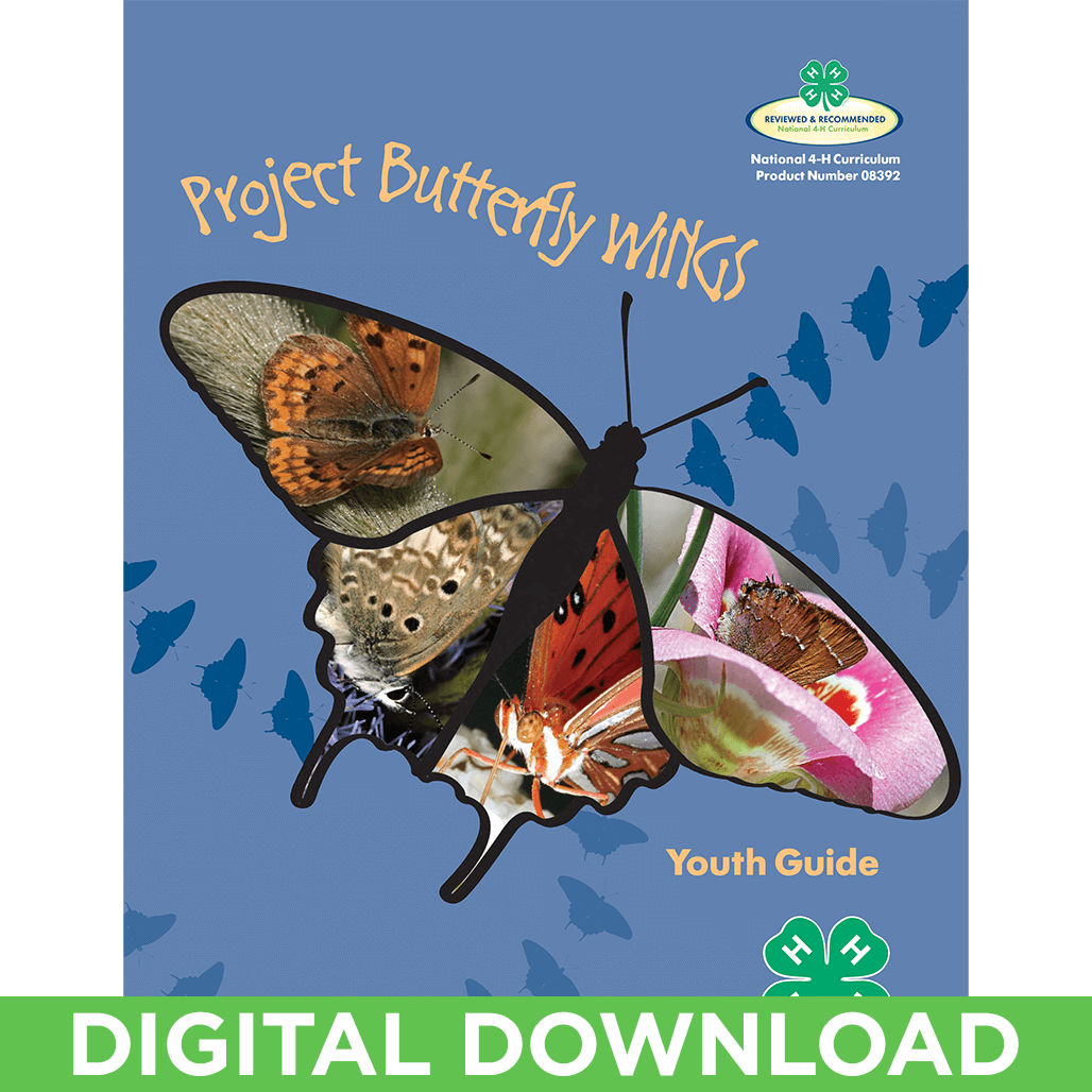 Butterfly Wings Curriculum Youth Guide Digital Download - Brush-footed Butterfly (1028x1028), Png Download