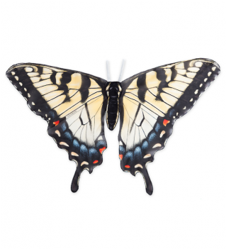 $28 - - Butterfly (500x350), Png Download