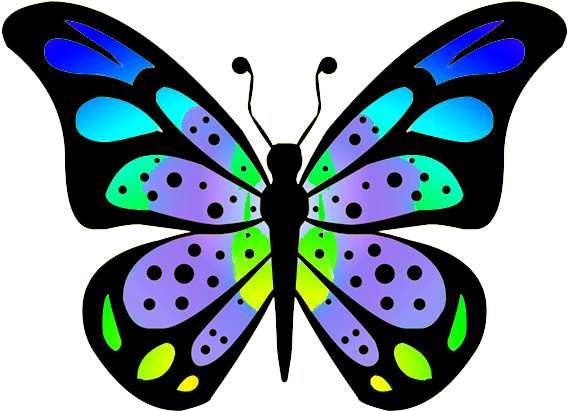 Colouful Clipart Butterfly Wing - Butterfly Drawings With Color (591x492), Png Download
