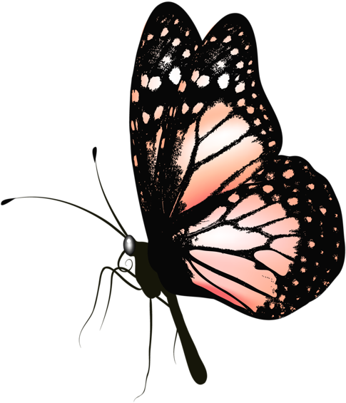 Visit - Freeforme Monarch Butterfly Watch, Butterfly Gift, (544x600), Png Download