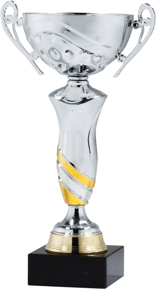 Silver Flare W/ Gold Accent - Trophy (559x1024), Png Download